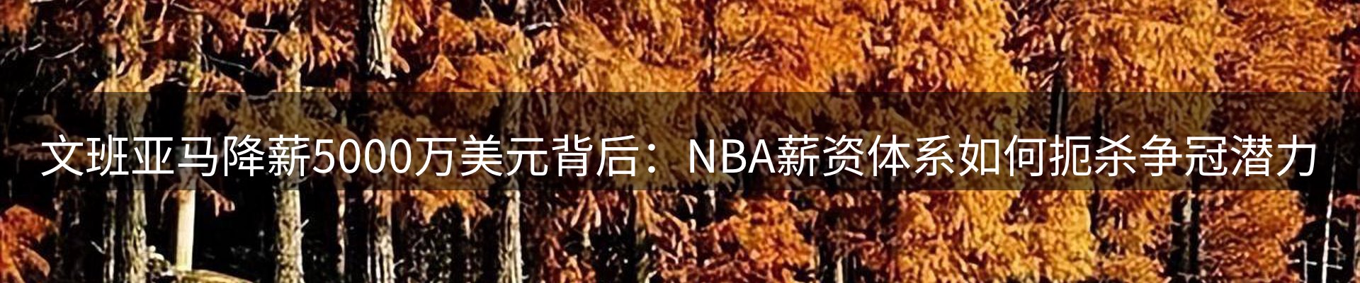 体育资讯